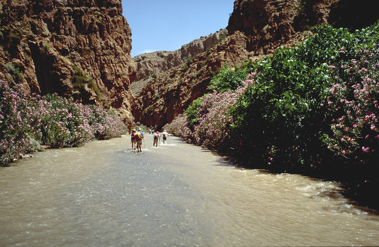 mar98_170 gorges mgoun.jpg - Haut Atlas Central, juin-98 gorges du Mgoun un itinéraire exceptionnel de deux jours les pieds dans l'eau Kodak Elite Chrome 100